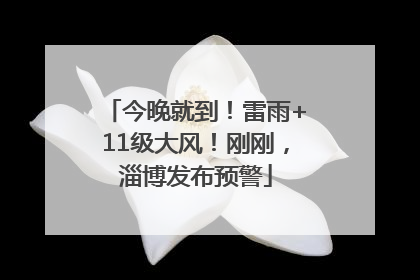 今晚就到！雷雨+11级大风！刚刚，淄博发布预警