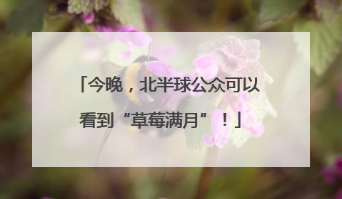 今晚，北半球公众可以看到“草莓满月”！
