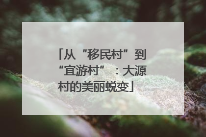 从“移民村”到“宜游村”：大源村的美丽蜕变