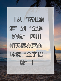 从“精准滴灌”到“全链护航” 四川朝天擦亮营商环境“金字招牌”