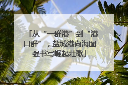 从“一群港”到“港口群”，盐城港向海图强书写崛起壮歌