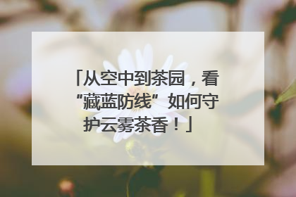 从空中到茶园，看“藏蓝防线”如何守护云雾茶香！