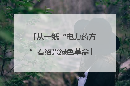 从一纸“电力药方”看绍兴绿色革命