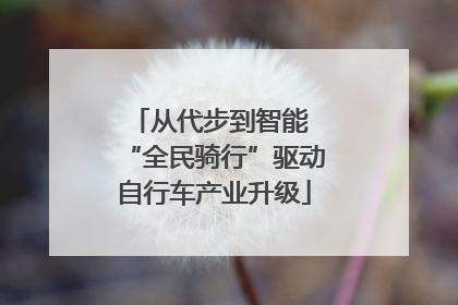 从代步到智能 “全民骑行”驱动自行车产业升级