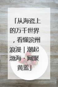 从海瓷上的万千世界，看懂滨州浪漫｜潮起渤海・网聚黄蓝