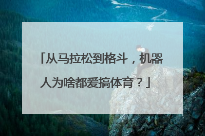 从马拉松到格斗，机器人为啥都爱搞体育？