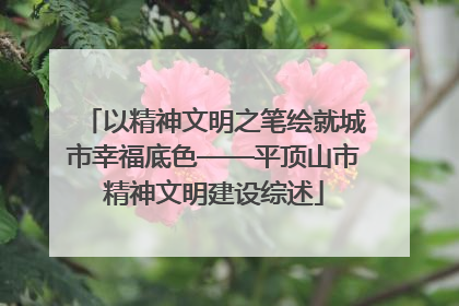 以精神文明之笔绘就城市幸福底色——平顶山市精神文明建设综述