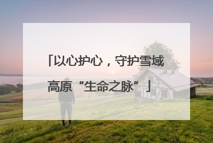 以心护心，守护雪域高原“生命之脉”