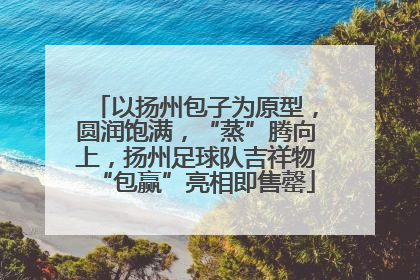 以扬州包子为原型，圆润饱满，“蒸”腾向上，扬州足球队吉祥物“包赢”亮相即售罄