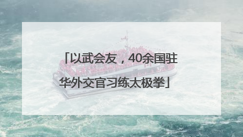 以武会友，40余国驻华外交官习练太极拳