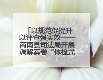 以规范促提升 以评查强实效——商南县司法局开展调解案卷“体检式”评查行动