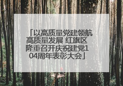 以高质量党建领航高质量发展 红旗区隆重召开庆祝建党104周年表彰大会