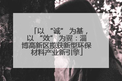 以 “诚” 为基，以 “效” 为翼：淄博高新区揽获新型环保材料产业新引擎