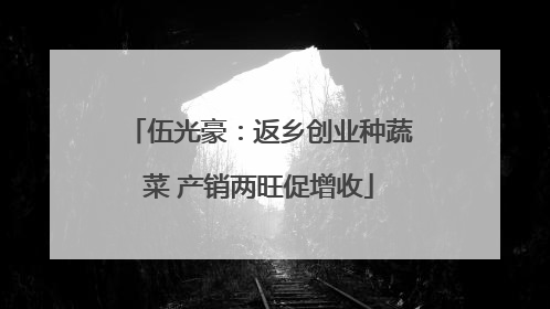 伍光豪：返乡创业种蔬菜 产销两旺促增收