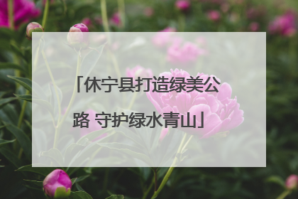 休宁县打造绿美公路 守护绿水青山