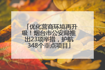 优化营商环境再升级！烟台市公安局推出23项举措，护航348个重点项目