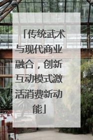 传统武术与现代商业融合，创新互动模式激活消费新动能