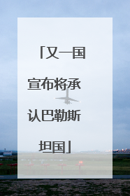 又一国宣布将承认巴勒斯坦国