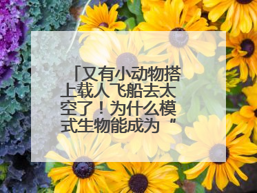 又有小动物搭上载人飞船去太空了！为什么模式生物能成为“探索代表”？