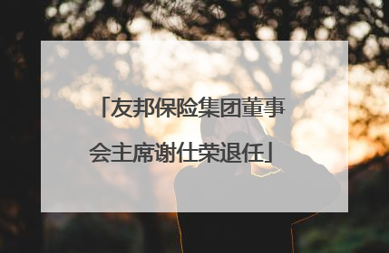 友邦保险集团董事会主席谢仕荣退任