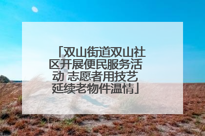 双山街道双山社区开展便民服务活动 志愿者用技艺延续老物件温情