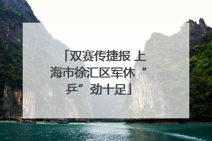 双赛传捷报 上海市徐汇区军休“乒”劲十足