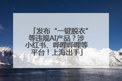 发布“一键脱衣”等违规AI产品？涉小红书、哔哩哔哩等平台！上海出手