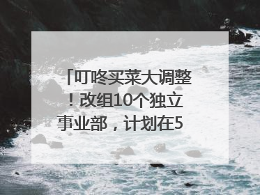 叮咚买菜大调整！改组10个独立事业部，计划在5月完成App端全面改版