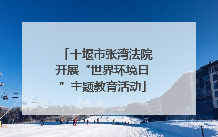 十堰市张湾法院开展“世界环境日”主题教育活动