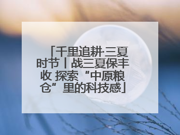千里追耕·三夏时节丨战三夏保丰收 探索“中原粮仓”里的科技感