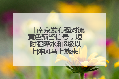 南京发布强对流黄色预警信号，短时强降水和8级以上阵风马上就来