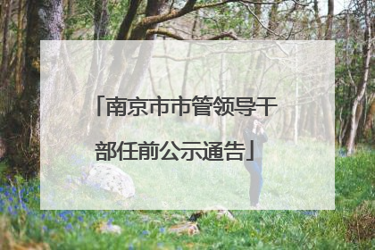 南京市市管领导干部任前公示通告