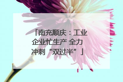 南充顺庆：工业企业忙生产 全力冲刺“双过半”