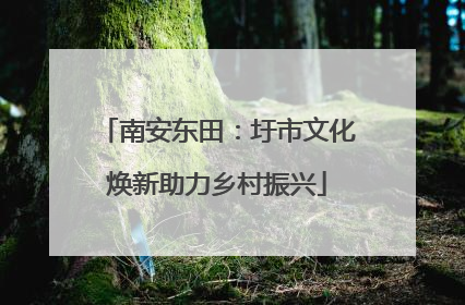 南安东田：圩市文化焕新助力乡村振兴