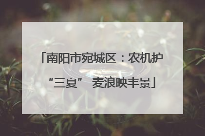 南阳市宛城区：农机护“三夏” 麦浪映丰景