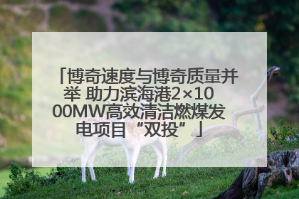 博奇速度与博奇质量并举 助力滨海港2×1000MW高效清洁燃煤发电项目“双投”
