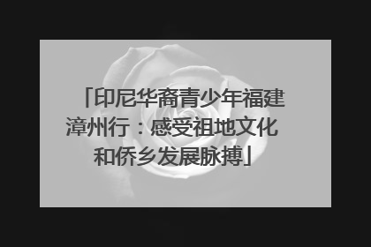 印尼华裔青少年福建漳州行：感受祖地文化和侨乡发展脉搏