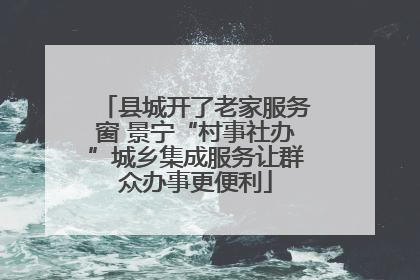 县城开了老家服务窗 景宁“村事社办”城乡集成服务让群众办事更便利