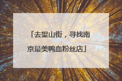 去望山街，寻找南京最美鸭血粉丝店