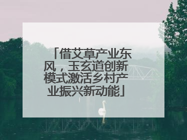 借艾草产业东风，玉玄道创新模式激活乡村产业振兴新动能