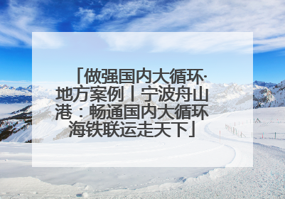 做强国内大循环·地方案例丨宁波舟山港：畅通国内大循环海铁联运走天下