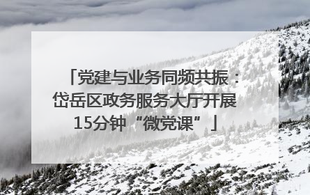 党建与业务同频共振：岱岳区政务服务大厅开展15分钟“微党课”