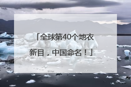 全球第40个地衣新目，中国命名！