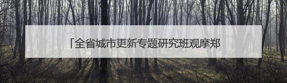 全省城市更新专题研究班观摩郑州示范项目 解锁老城焕新密码