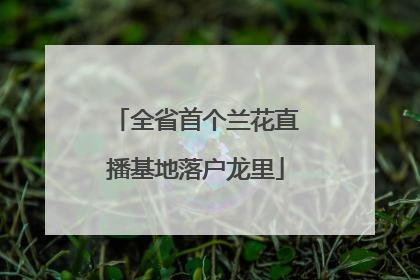 全省首个兰花直播基地落户龙里