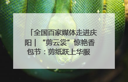 全国百家媒体走进庆阳｜“剪云裳”惊艳香包节：剪纸跃上华服 非遗焕发新彩