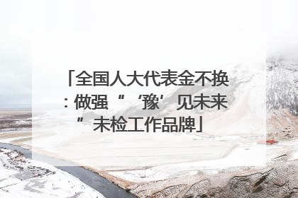 全国人大代表金不换：做强“‘豫’见未来”未检工作品牌