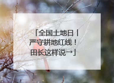 全国土地日丨严守耕地红线！田长这样说→