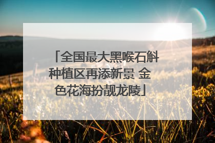 全国最大黑喉石斛种植区再添新景 金色花海扮靓龙陵