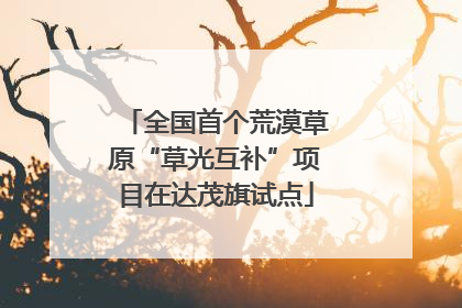 全国首个荒漠草原“草光互补”项目在达茂旗试点